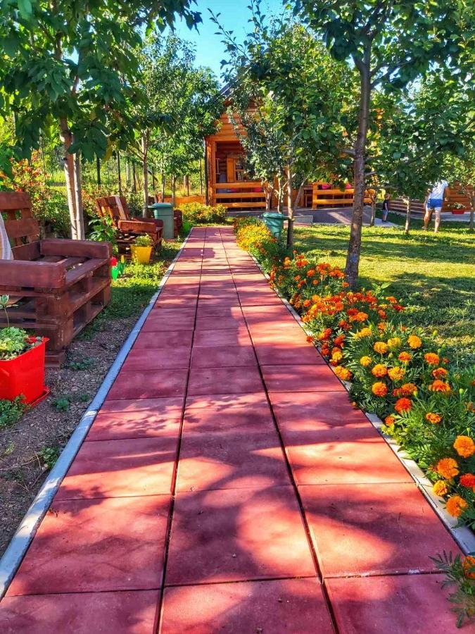 Holiday Bungalows & Food بلاف المظهر الخارجي الصورة